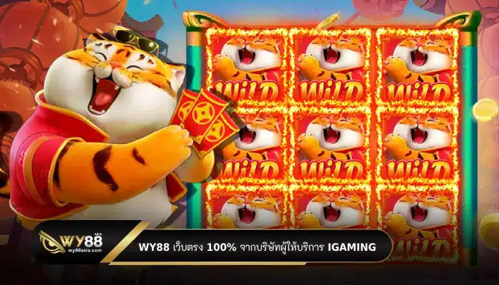 เปิดดีลค่ายสล็อตจากเว็บแม่ กับเว็บ WY88 เว็บตรง 100% จากบริษัทผู้ให้บริการ iGaming